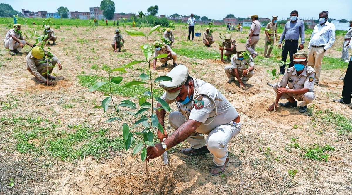 बागपत में वृक्षारोपण का कुल लक्ष्य 1,24,7287 पौधे निर्धारित