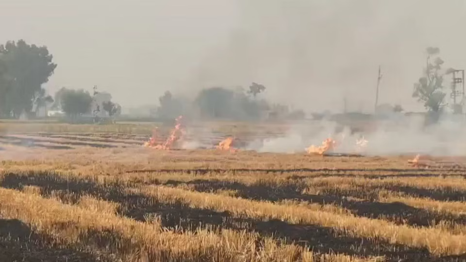 पराली में आग लगने वाले किसानों पर होगी कार्रवाई : वंदना सिंह